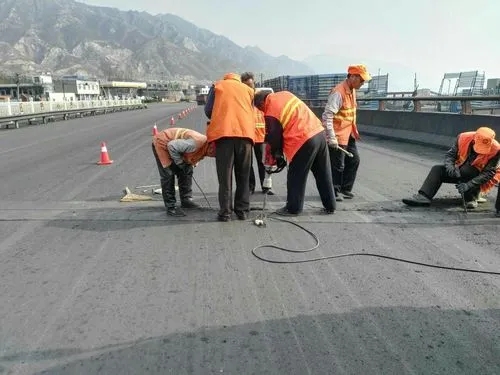 延长道路桥梁病害治理